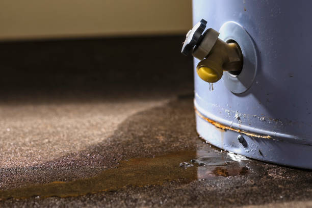 Best Carpet water damage restoration  in Kingstowne, VA