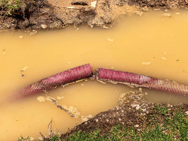 Best Water damage restoration near me  in Kingstowne, VA
