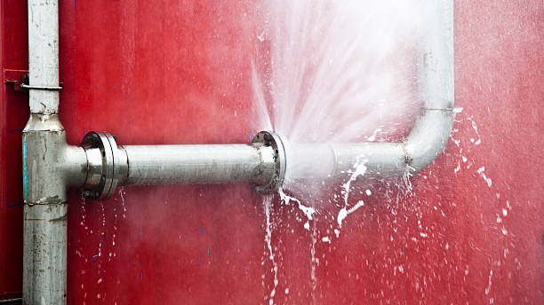 Best Carpet water damage restoration  in Kingstowne, VA